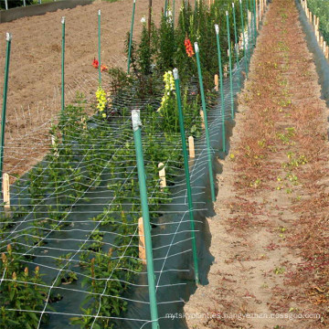 PE flor de trellis escalada de alta resistencia a la tracción verde flor de apoyo